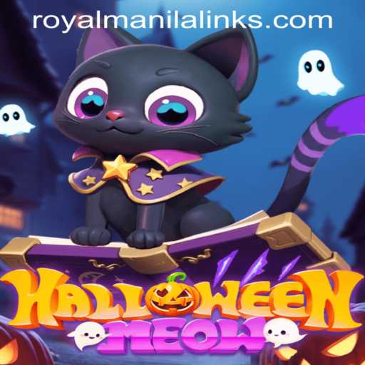 Unveiling HalloweenMeow: The Thrilling New Game Bridging Fantasy and Fun